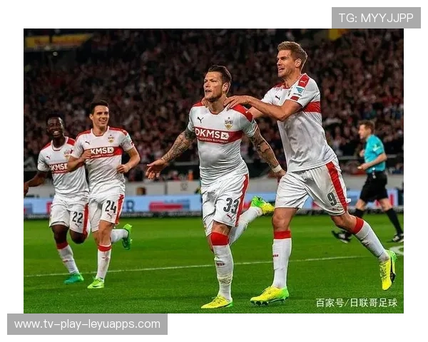 综合赛事新兴项目赛季趋势分析(480 ) 综合赛事新兴项目赛季趋势分析(480 )